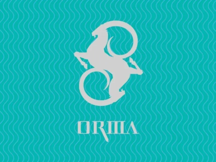 ORMA | 292 Edition
