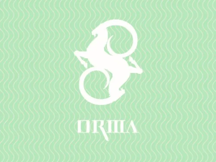 ORMA | Infinit Edition